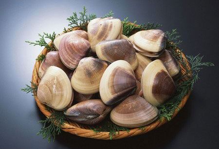 挑选蛤蜊的小技巧