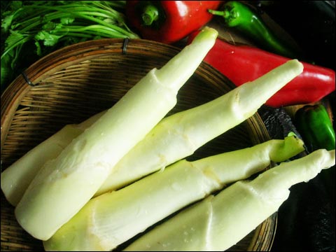 低调美味的茭白