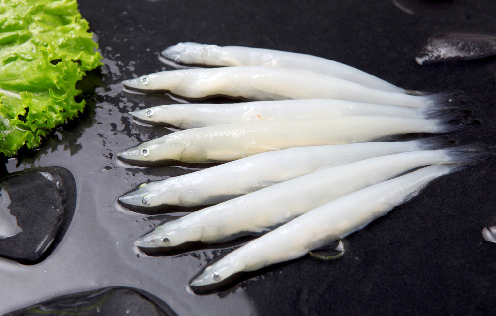银鱼的营养功效和选购