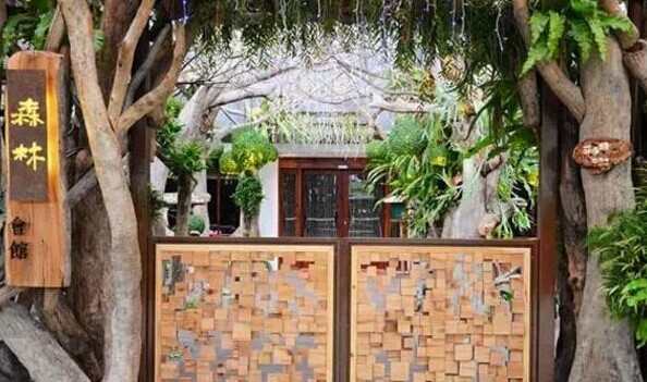 在这家咖啡馆里藏了一片森林