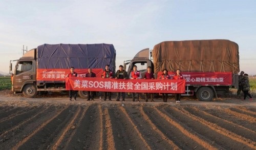 美菜启动助销计划 普通市民可认购“爱心白菜”