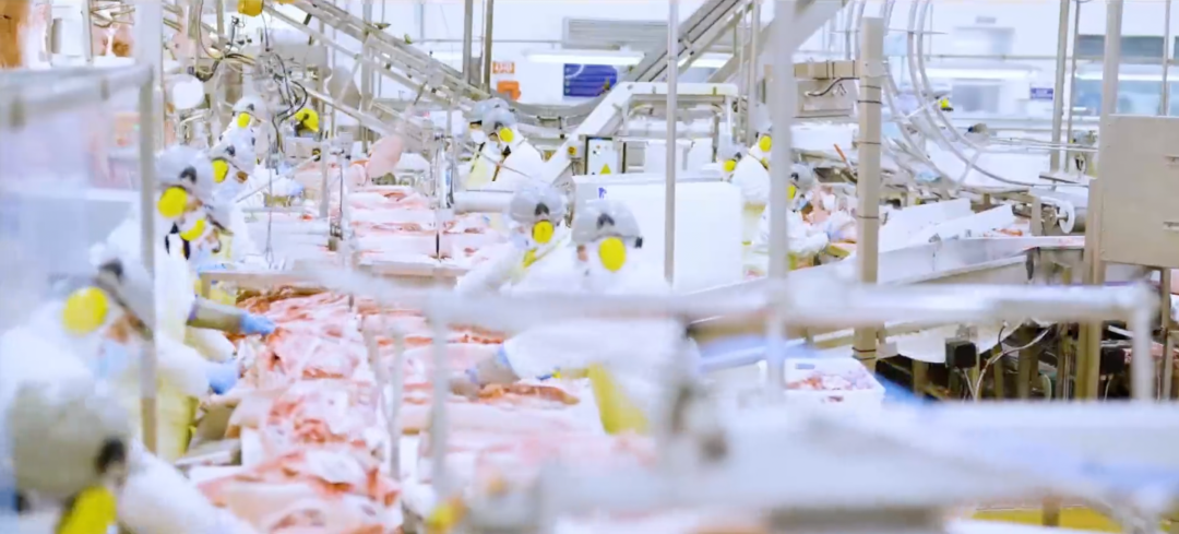 智利爱阁数字化再升级，全新小程序福利大放送