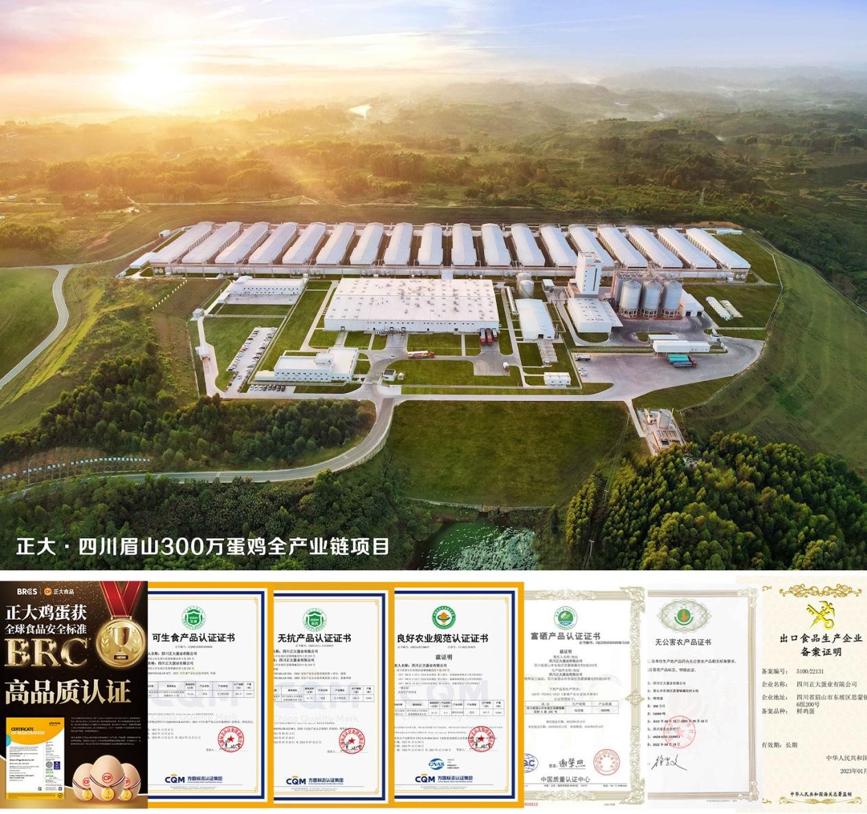 正大鸡蛋授权安德鲁森成都350家门店 进一步提升在烘焙行业影响力