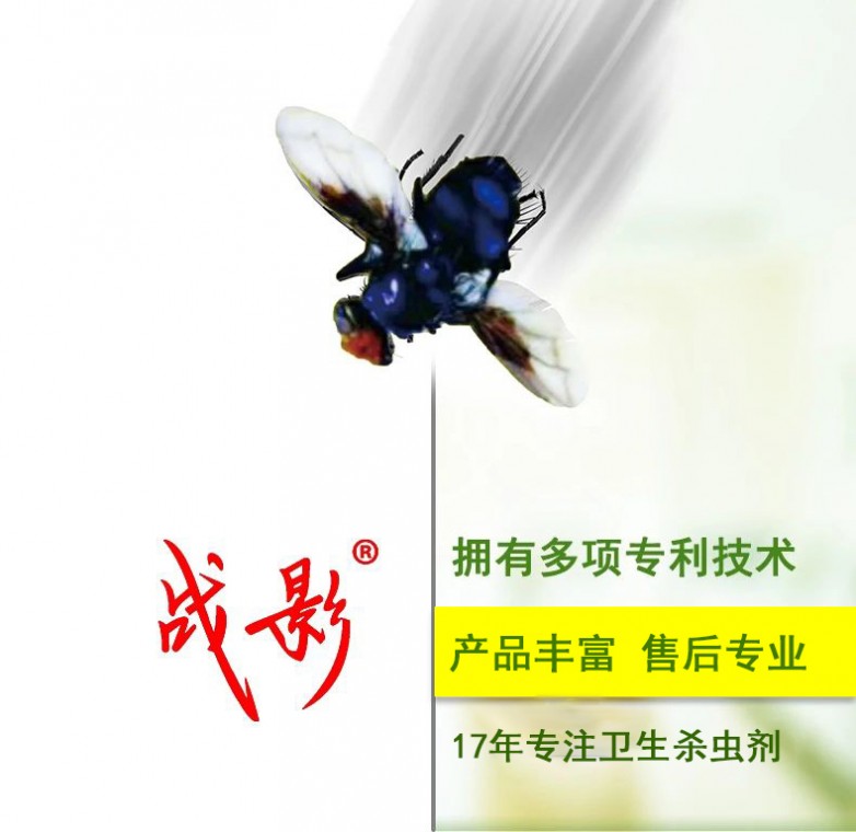 小小苍蝇药，如何撬动上亿元市场？