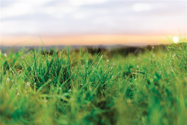 恒天然可持续行动全回顾