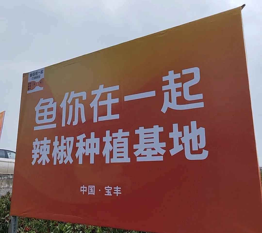 鱼你在一起荣获两项大奖，展现新质生产力下的雇主品牌变革|餐饮界