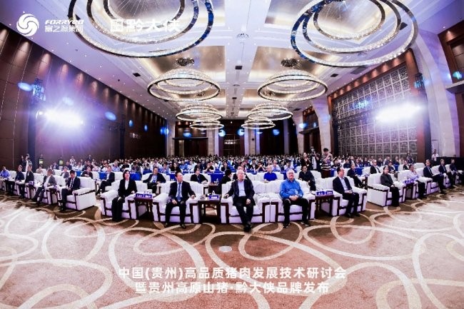 黔大侠品牌正式发布，贵州高原山猪走向全国餐桌|餐饮界