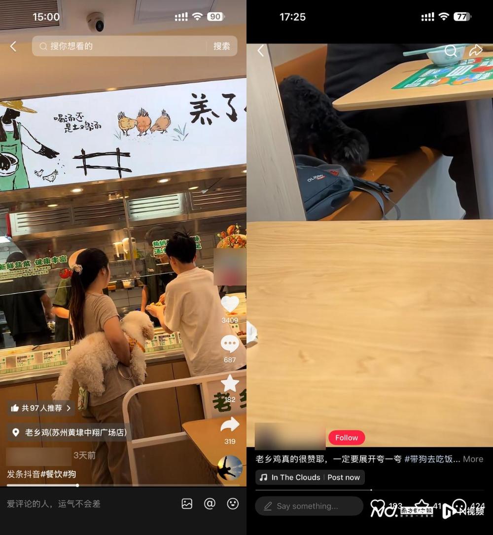 老乡鸡携宠进店争议:危机公关与行业思考